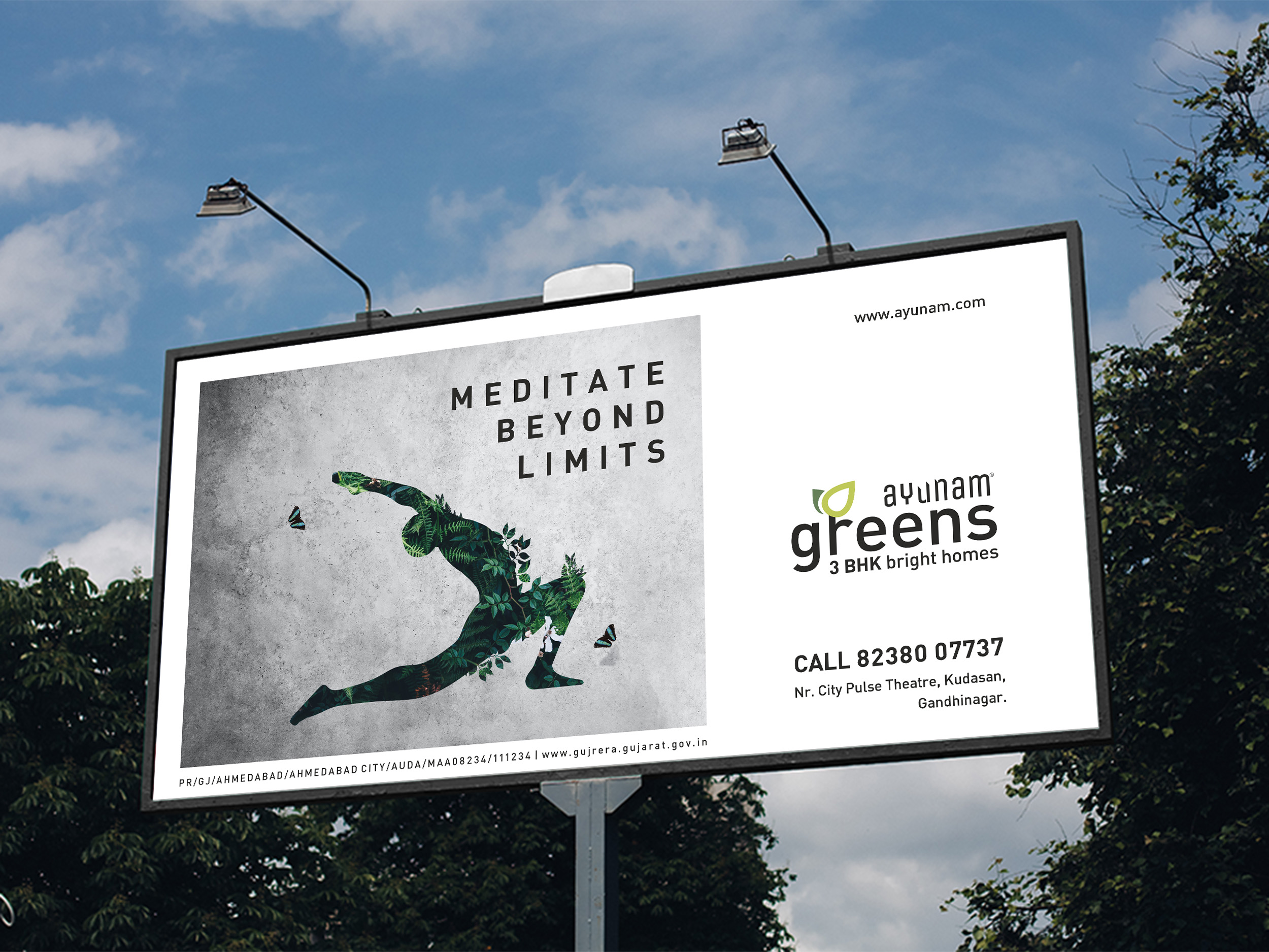 Ayunam Greens Reveal Hoarding